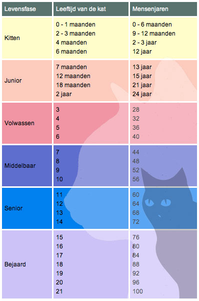 climax Boven hoofd en schouder van nu af aan Verzorging: Kattenleeftijd - alleskatten.nl