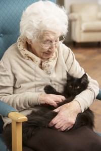 Oude vrouw met kat